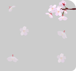 벗꽃 배경의 메모장