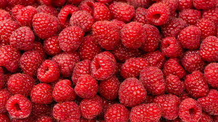 Tasty fresh raspberry as a background.