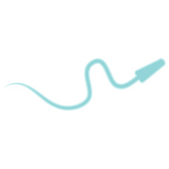 Human Sperm tail Anatomy