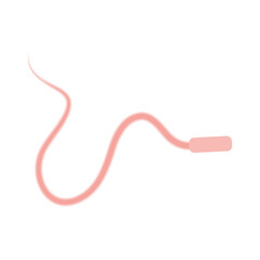 Human Sperm tail Anatomy