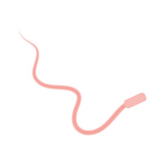 Human Sperm tail Anatomy