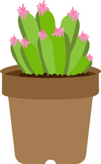 척박한 사막에서 잘 자라는 선인장