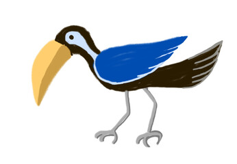 A hand-drawn cartoon hornbill bird in crayon, top view, PNG, transparent background, perfect for children's coloring book, featuring various hornbill species.