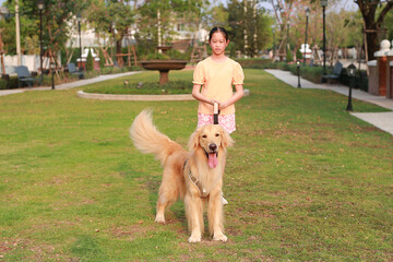 Portrait of Golden retriever and Asian girl lying on the grass in the garden. Focus at pet.