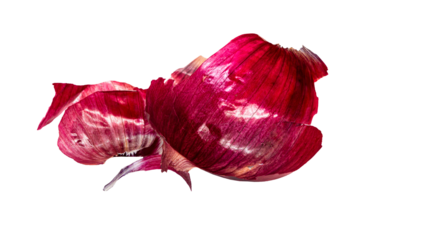 赤タマネギ　鮮やかな皮