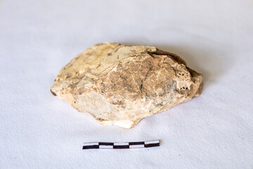 A rock fragment showing fault breccia from the Utah fault, just outside Moab, USA, against a white...