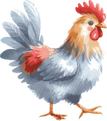 A watercolor vector illustration of a chicken