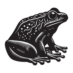 Frog silhouette jumping, climbing a plan, line art vector.