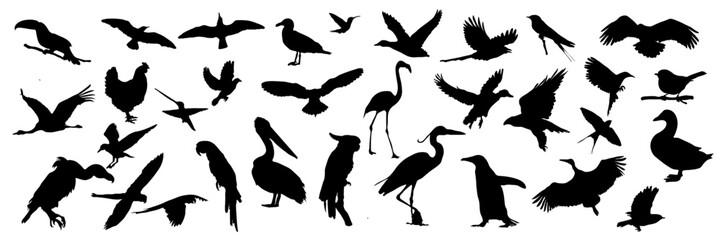 Bird silhouette vector set, diverse bird shape black silhouettes on white background, illustration of flying, perching birds, suitable for nature, wildlife designs