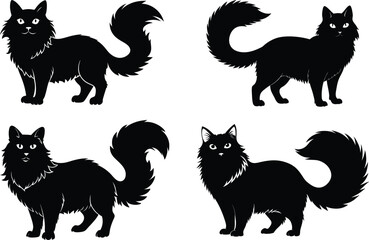 Naklejka premium Angry Ragdoll Cat Silhouette Vector Symbol Icon on White Background.