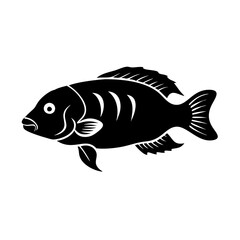 firemouth cichlid fish icon, firemouth cichlid fish line art - simple line art of firemouth cichlid fish, perfect for firemouth cichlid fish logos and icons