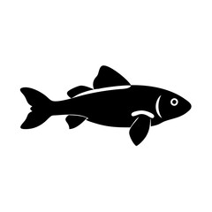 Fototapeta premium otocinclus fish icon, otocinclus fish line art - simple line art of otocinclus fish, perfect for otocinclus fish logos and icons