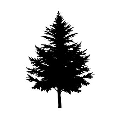 larch tree icon, larch tree line art - simple line art of larch tree, perfect for larch tree logos and icons