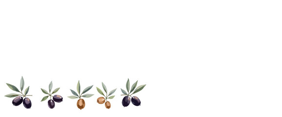 watercolor painting of olive branches with black and green olives