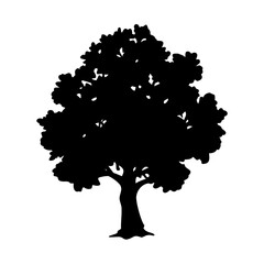 Fototapeta premium oak tree icon, oak tree line art - simple line art of oak tree, perfect for oak tree logos and icons