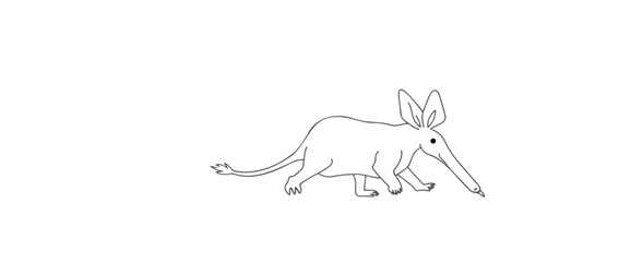 of an aardvark