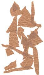 Torn brown paper scraps randomly scattered on transparent background. Rough texture and natural irregular edges