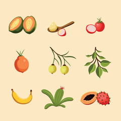 vibrant flat of a variety of tropical fruits