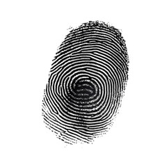 Fingerprint Analysis Image on transparent background