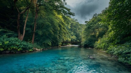 Naklejka premium Turquoise River Flowing Through Lush Green Forest with Wooden Bridge