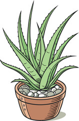 Vector Illustration of Aloe Vera Plant - Perfect for Botanical and Home Decor Designs