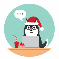 cheerful husky dog wearing a santa hat uses a laptop