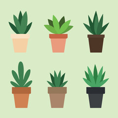 six diverse potted plants in various colors and shapes