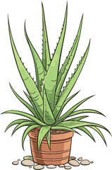 Vector Illustration of Aloe Vera Plant - Perfect for Botanical and Home Decor Designs
