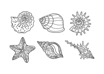 A set of seashells and starfish of various shapes 