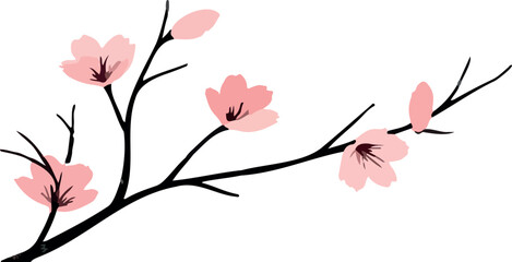 delicate pink blossoms on a dark branch