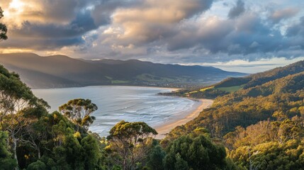 Panoramic landscape of beaches and forested mountains at Apollo Bay along Great Ocean Road