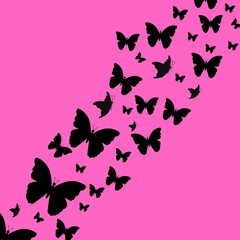 Fototapeta premium butterflies, Set of butterflies on pink background, flock of Butterflies 