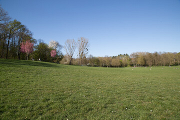 Blick vom Pilzberg, Beethovenpark, S&uuml;lz, K&ouml;ln, Fr&uuml;hling, Anfang April 2025