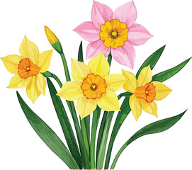 Yellow daffodils, a spring bouquet of narcissus flowers in a vase, bloom with floral beauty