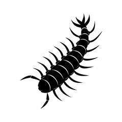 Centipede vector silhouette illustration 