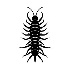 Centipede vector silhouette illustration 