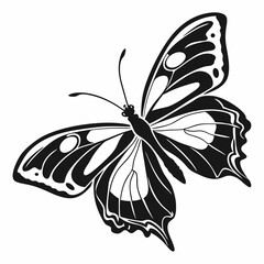silhouette of a butterfly