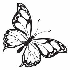 silhouette of a butterfly