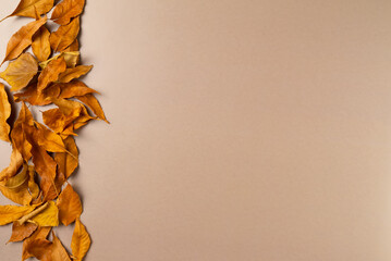 Autumn background with leaves on beige background. Top view, copy space
