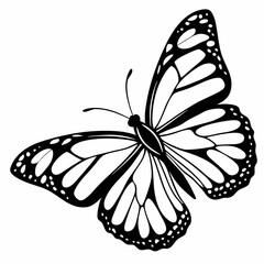 silhouette of a butterfly