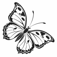 silhouette of a butterfly