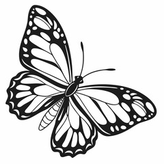 silhouette of a butterfly