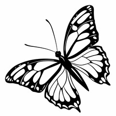 silhouette of a butterfly