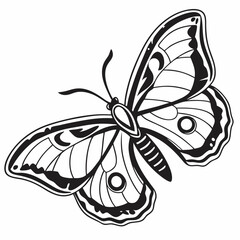 silhouette of a butterfly