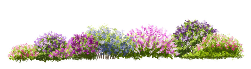 Fototapeta premium Vector watercolor blooming flower tree or forest side view isolated on white background for landscape and architecture drawing,elements for environment or and garden,green tree for garden section 