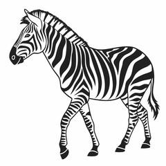 Fototapeta premium zebra silhouette
