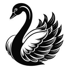 Fototapeta premium Elegant Black Swan Silhouette With Graceful Feathers On White Background Illustration