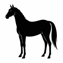 horse silhouette