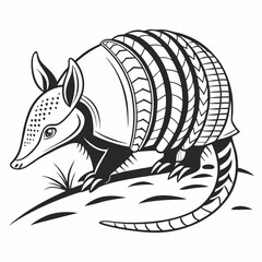 vector of an armadill