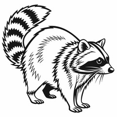 vector of a raccoon
